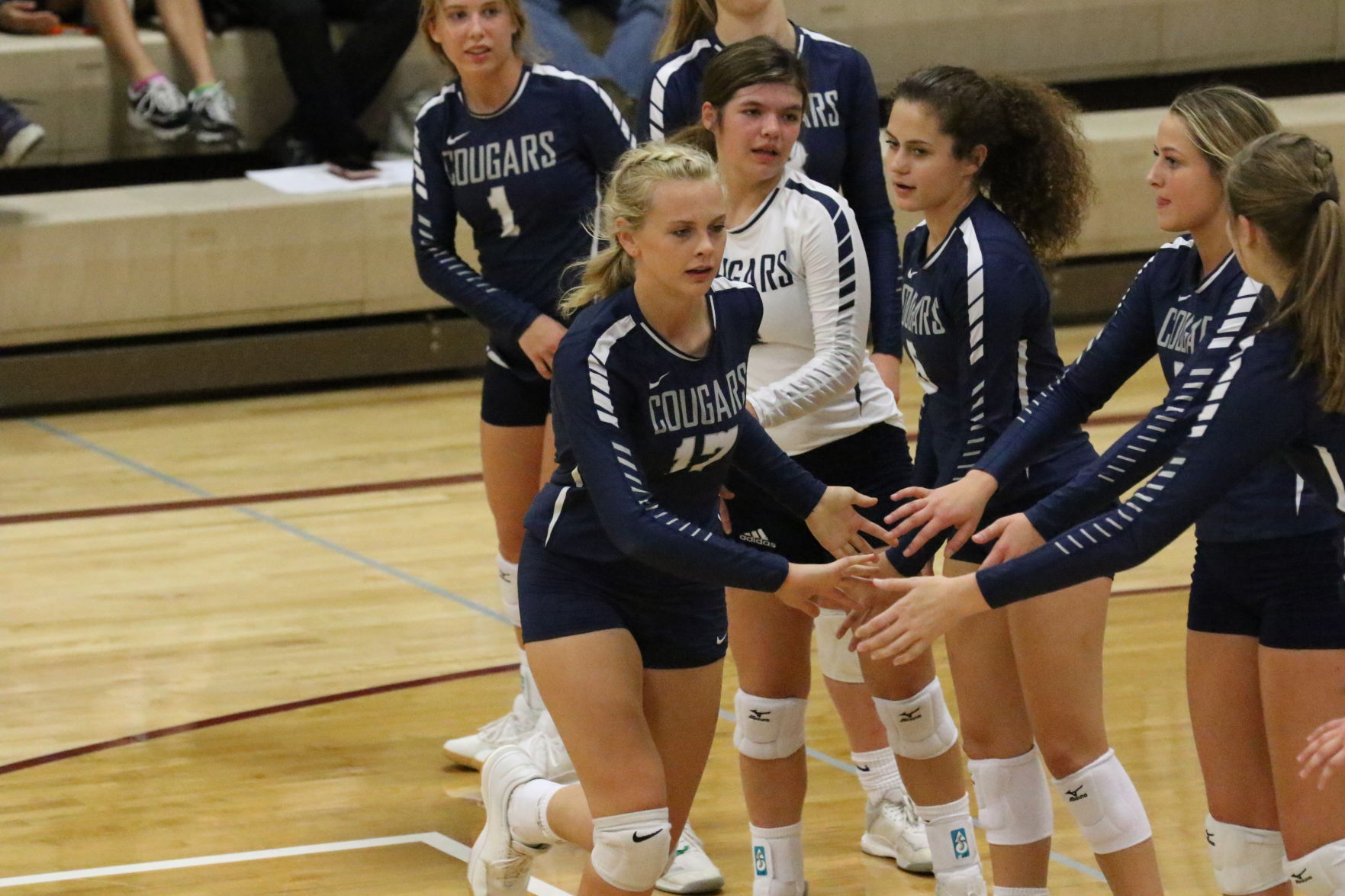 Cross County vs. Heartland volleyball 11.JPG